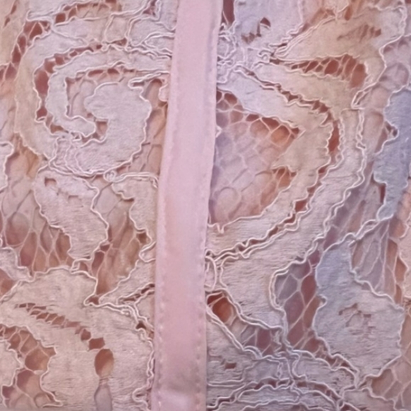 Cap sleeve pink lace fit and flare midi dress - Picture 4 of 4